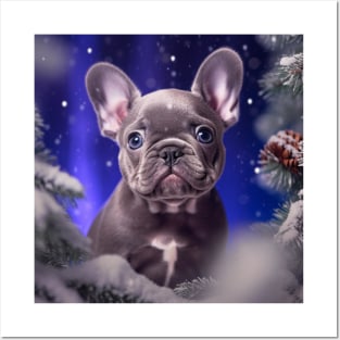 Frenchie puppy Posters and Art